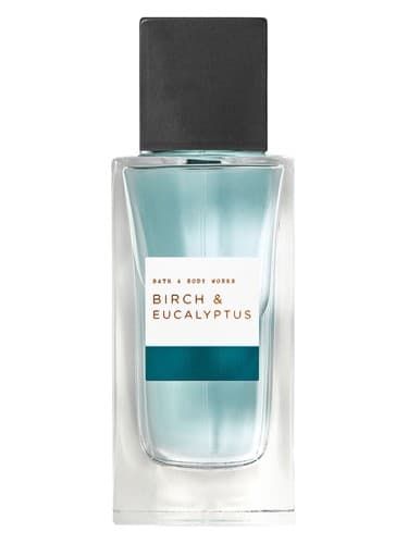 Bath & Body Works Birch & Eucalyptus
