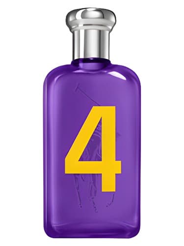 Ralph Lauren Big Pony 4