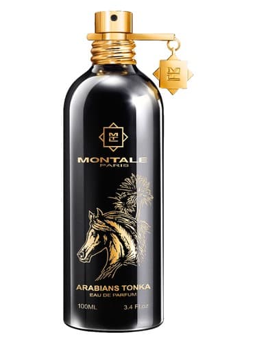Arabians Tonka by Montale