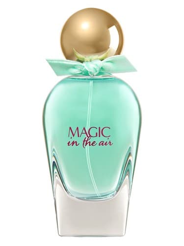 Bath & Body Works Magic In The Air