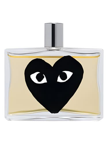 Comme des Garcons Black