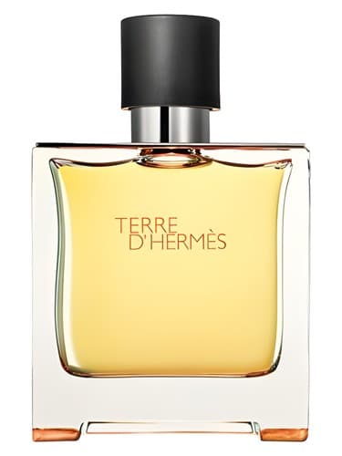Terre d'Hermes Parfum by Hermès