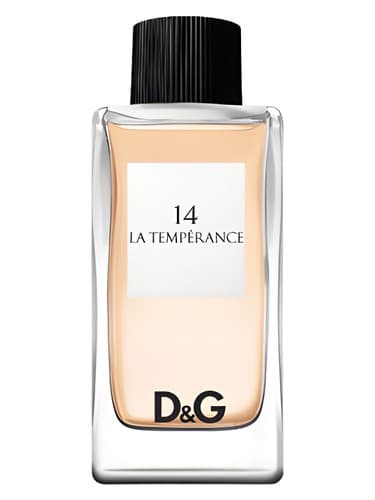 Dolce&Gabbana D&G Anthology La Temperance 14