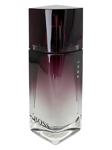 Hugo Boss Boss Soul