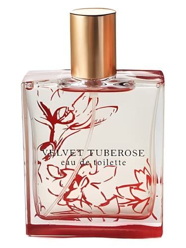 Velvet Tuberose by Bath & Body Works