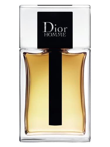 Dior Dior Homme 2020