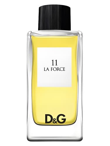 Dolce&Gabbana D&G Anthology La Force 11