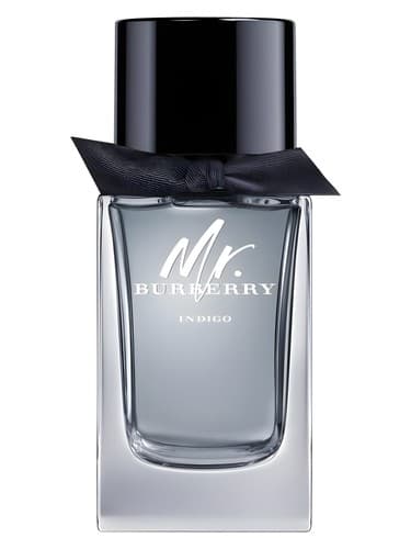 Burberry Mr. Burberry Indigo