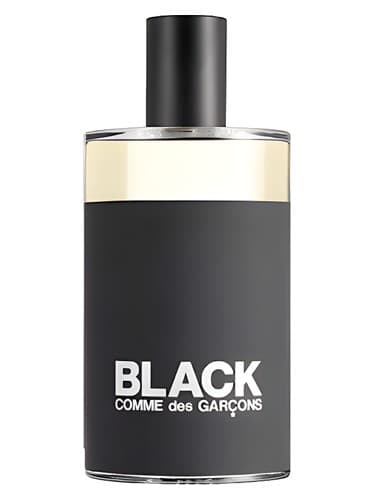 Comme des Garcons Black Eau de Toilette