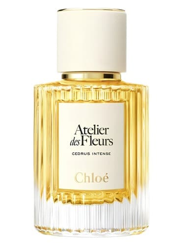 Chloé Cedrus Intense