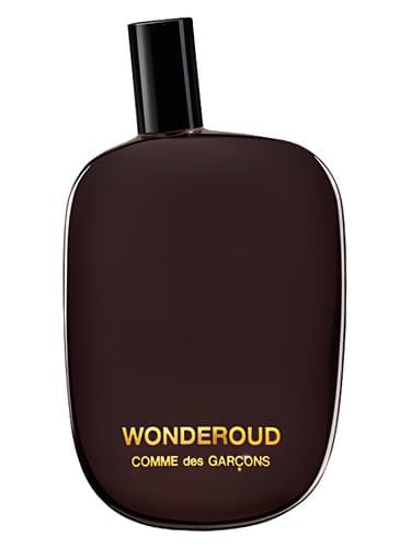 Comme des Garcons Wonderoud