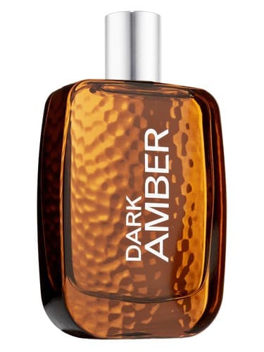 Bath & Body Works Dark Amber