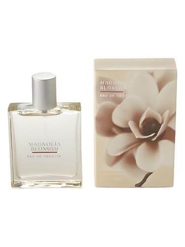 Bath & Body Works Magnolia Blossom