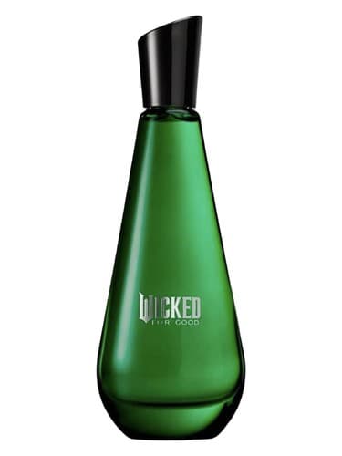 Ariana Grande Wicked For Good – Elphaba Enchanted