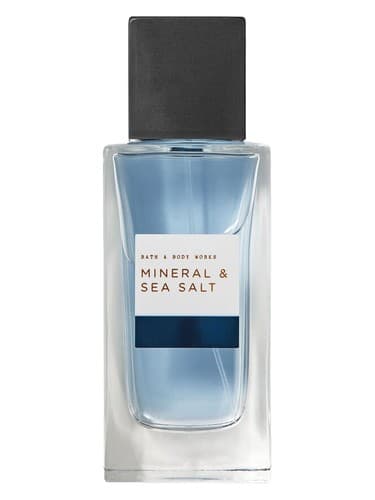 Bath & Body Works Mineral & Sea Salt