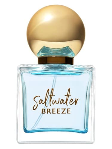 Bath & Body Works Saltwater Breeze