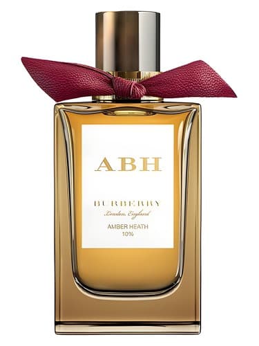 Burberry Amber Heath