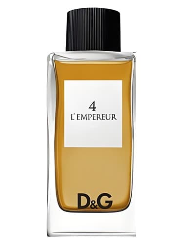 Dolce&Gabbana D&G Anthology L'Empereur 4