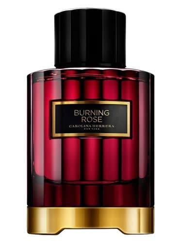 Burning Rose by Carolina Herrera