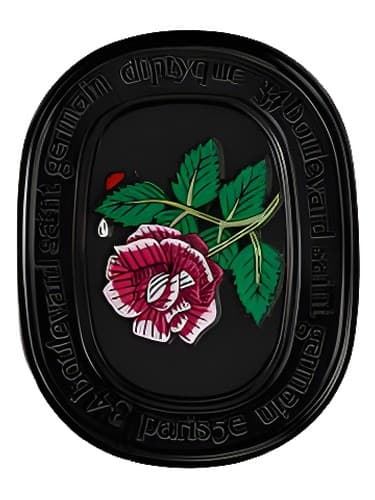 Diptyque Eau Rose Solid perfume