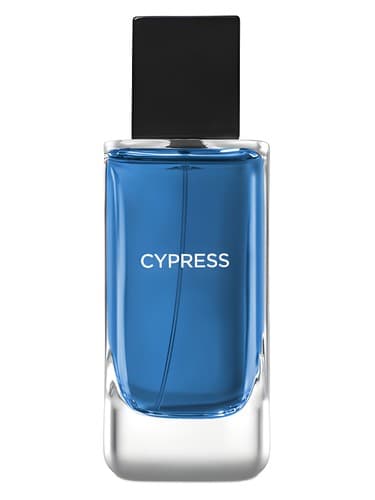 Bath & Body Works Cypress