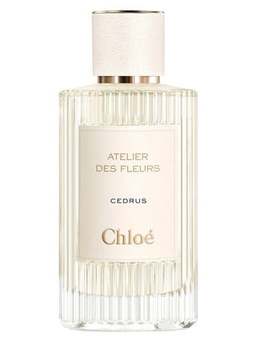 Chloé Cedrus