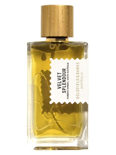 Velvet Splendour by Goldfield & Banks Australia