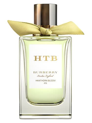Burberry Hawthorn Bloom