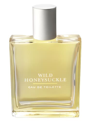 Bath & Body Works Wild Honeysuckle