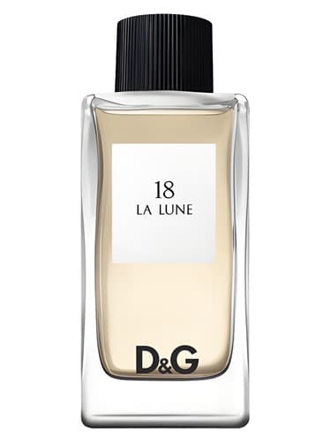 Dolce&Gabbana D&G Anthology La Lune 18
