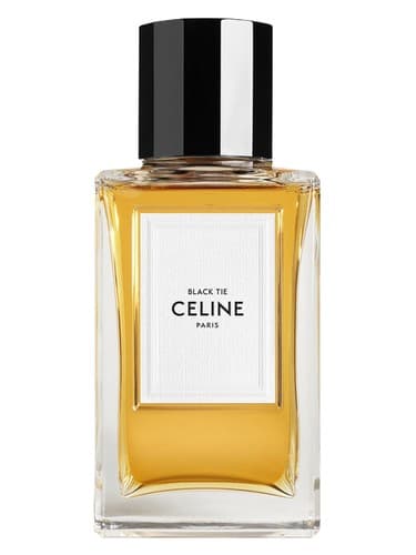 Celine Black Tie