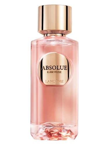 Lancôme Absolue 6AM Rose