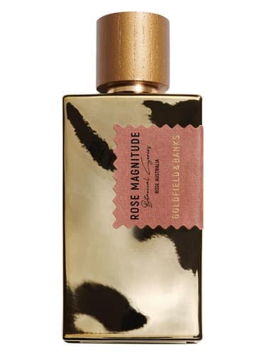 Rose Magnitude by Goldfield & Banks Australia
