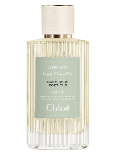 Chloé Narcissus Poeticus