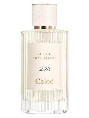 Chloé Herba Mimosa