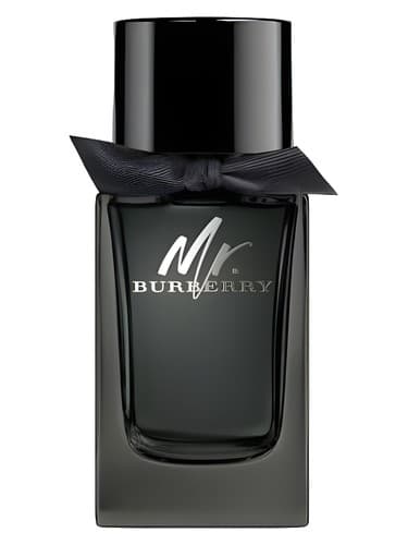 Mr. Burberry Eau de Parfum by Burberry