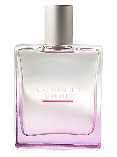 Bath & Body Works Enchanted Orchid