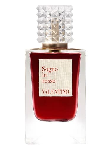 Sogno In Rosso by Valentino