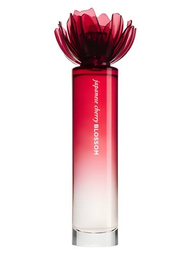 Bath & Body Works Japanese Cherry Blossom 2011