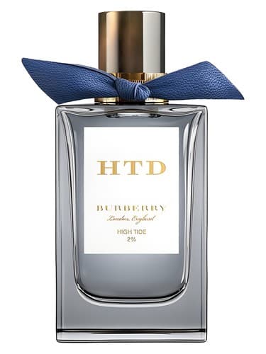 Burberry High Tide