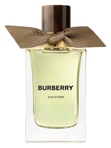 Burberry Oud Storm