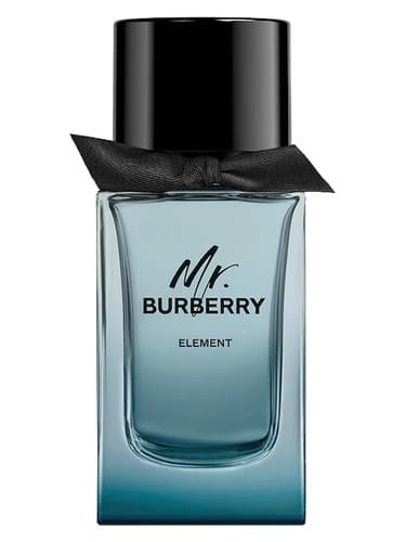 Burberry Mr. Burberry Element