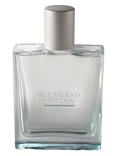 Bath & Body Works Sea Island Cotton