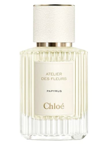 Chloé Papyrus