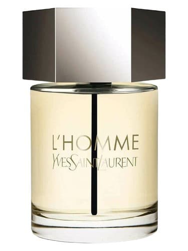 L'Homme by Yves Saint Laurent