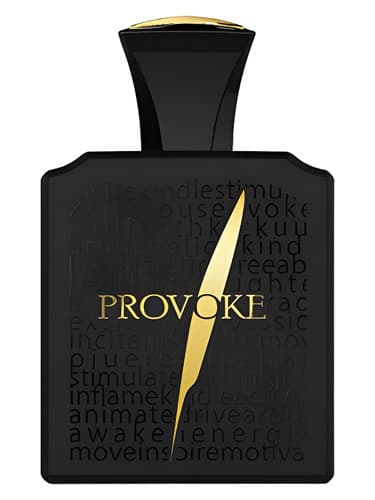 Afnan Provoke Black