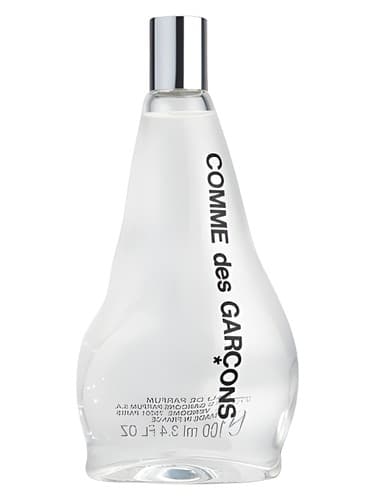 Comme des Garcons Comme des Garcons 2011