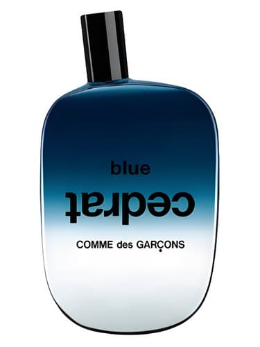 Comme des Garcons Blue Cedrat